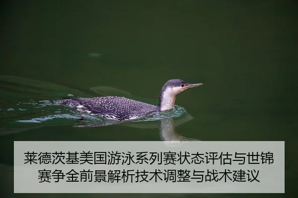 莱德茨基美国游泳系列赛状态评估与世锦赛争金前景解析技术调整与战术建议