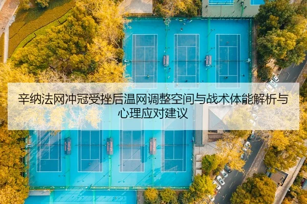 辛纳法网冲冠受挫后温网调整空间与战术体能解析与心理应对建议
